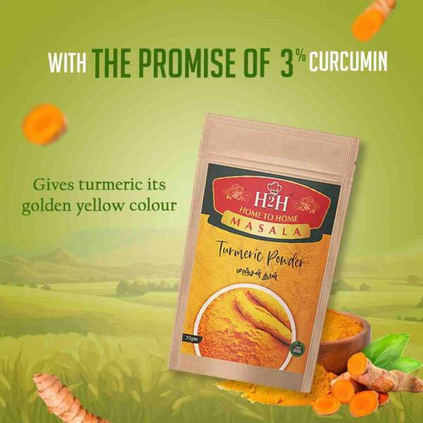 h2h-masala-turmeric-powder3-coimbatore-tamilnadu