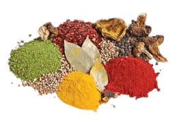 h2h-masala-png-logo-img28